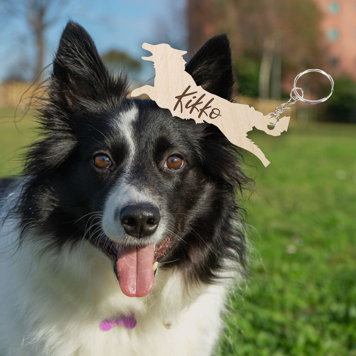 Portachiavi Legno  Border Collie